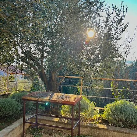 Vakantiehuis Seaview House Fiore Paklenica Starigrad Paklenica