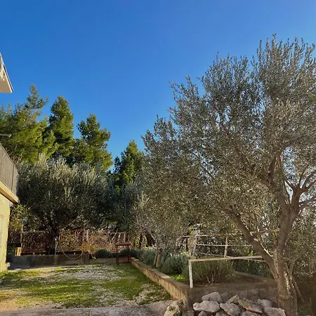 Seaview House Fiore Paklenica Nyaraló