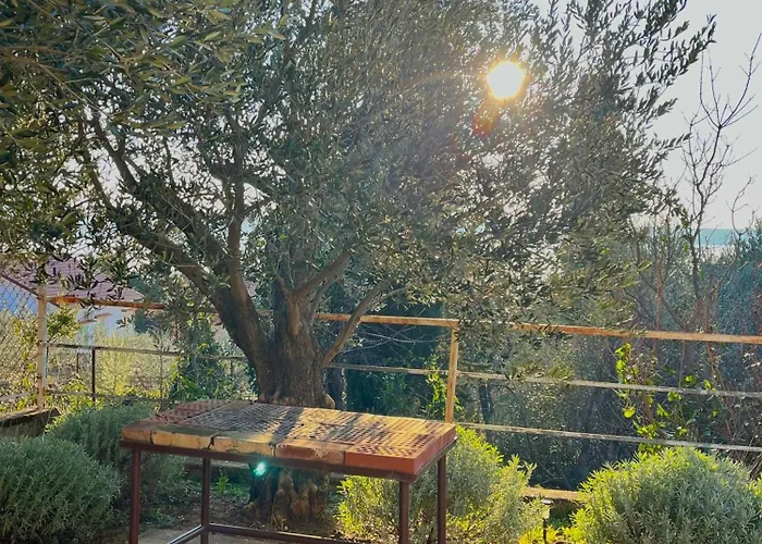 펜션 Seaview House Fiore Paklenica 스타리그라드 파클레니차