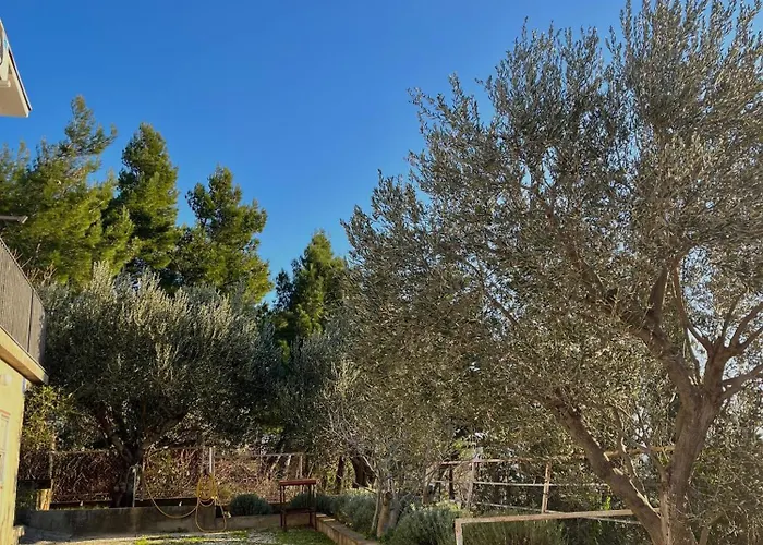 Seaview House Fiore Paklenica 펜션