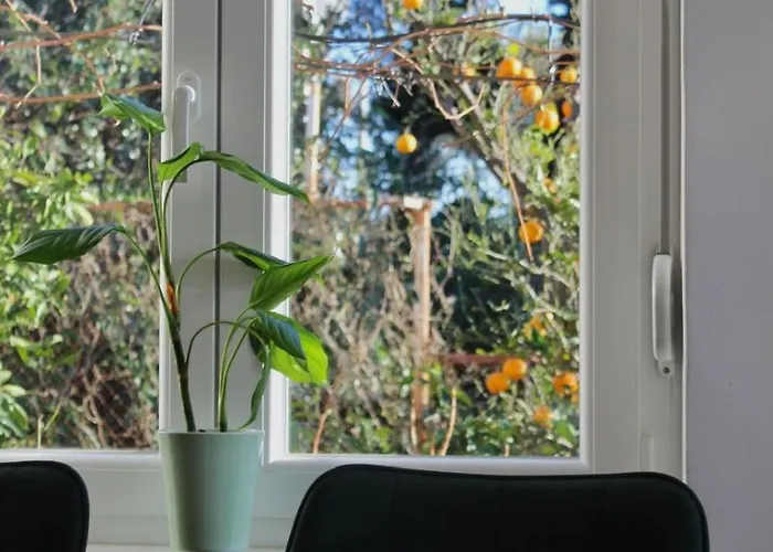 펜션 Seaview House Fiore Paklenica 스타리그라드 파클레니차